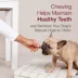 SmartBones® Smart Kabobz Dog Treat - Triple Meat Flavor image thumbnail 7