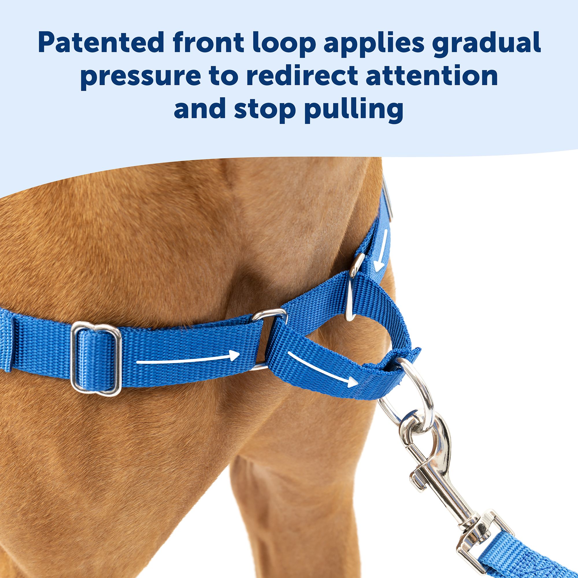 easy walk dog harness