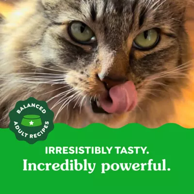 Product Greenies™ Feline Greenies Adult Cat Dental Treats - Dental Care, Natural, Tuna