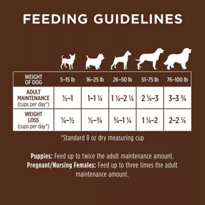 Instinct dog food rating hotsell