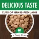 Product Instinct® Healthy Cravings All Life Stages Dog Food Topper - Grain Free, Lamb