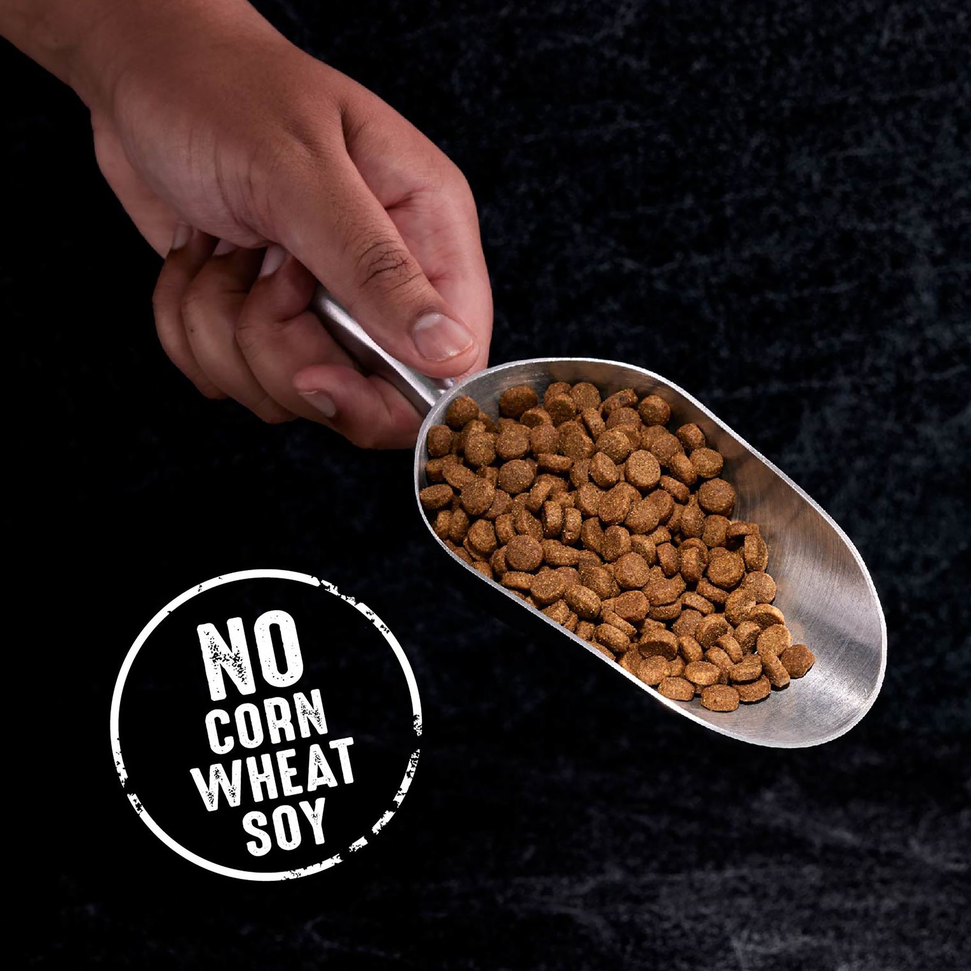 crave dog food recall