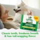 Product Greenies™ Adult Teenie Dog Dental Treats - Natural, Oral Health, Original