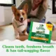 Product Greenies™ Adult Petite Dog Dental Treats - Natural, Oral Health, Original