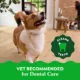 Product Greenies™ Adult Petite Dog Dental Treats - Natural, Oral Health, Original