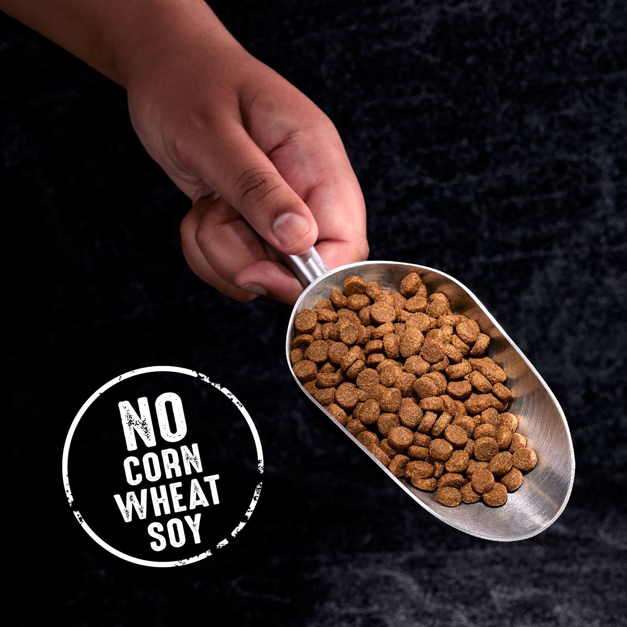 crave dog food petsmart