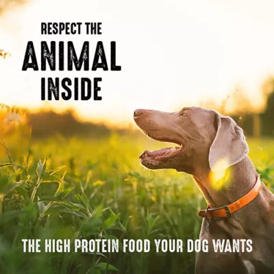 Product CRAVE™ High Protein Adult Dry Dog Food - Grain Free, Lamb & Venison