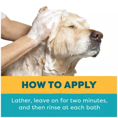 Product Only Natural Pet® EasyDefense™ Flea & Tick Pet Shampoo