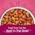 Friskies® Gravy Swirlers Cat Food - Gravy, Chicken & Salmon image thumbnail 7