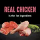 Product Crave™ High Protein Indoor Adult Dry Cat Food - Grain Free, Chicken & Salmon