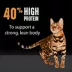 Crave High Protein Adult Dry Cat Food - Grain Free, Chicken image thumbnail 5
