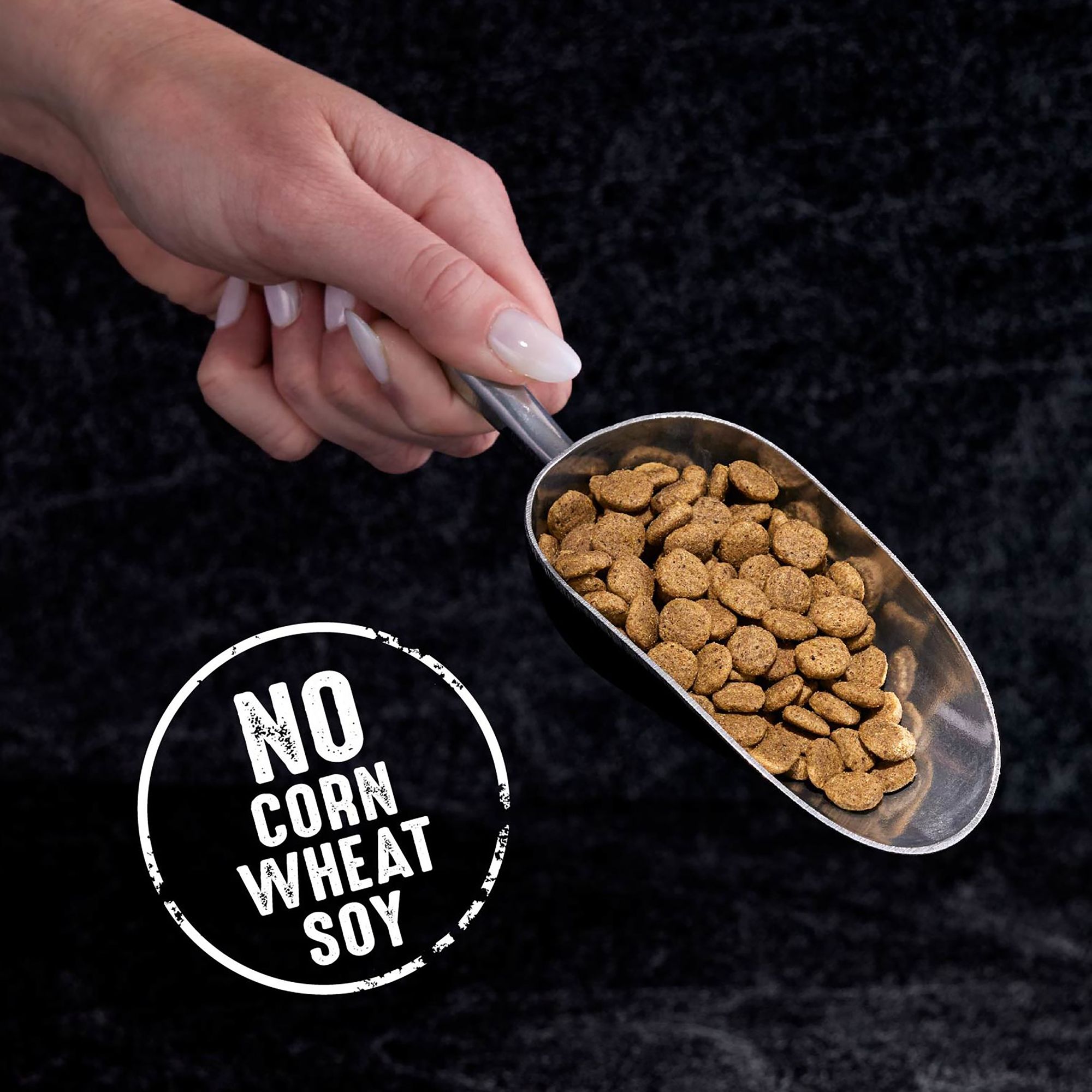 Crave Adult Cat Food Grain Free Chicken Salmon Cat Dry Food Petsmart