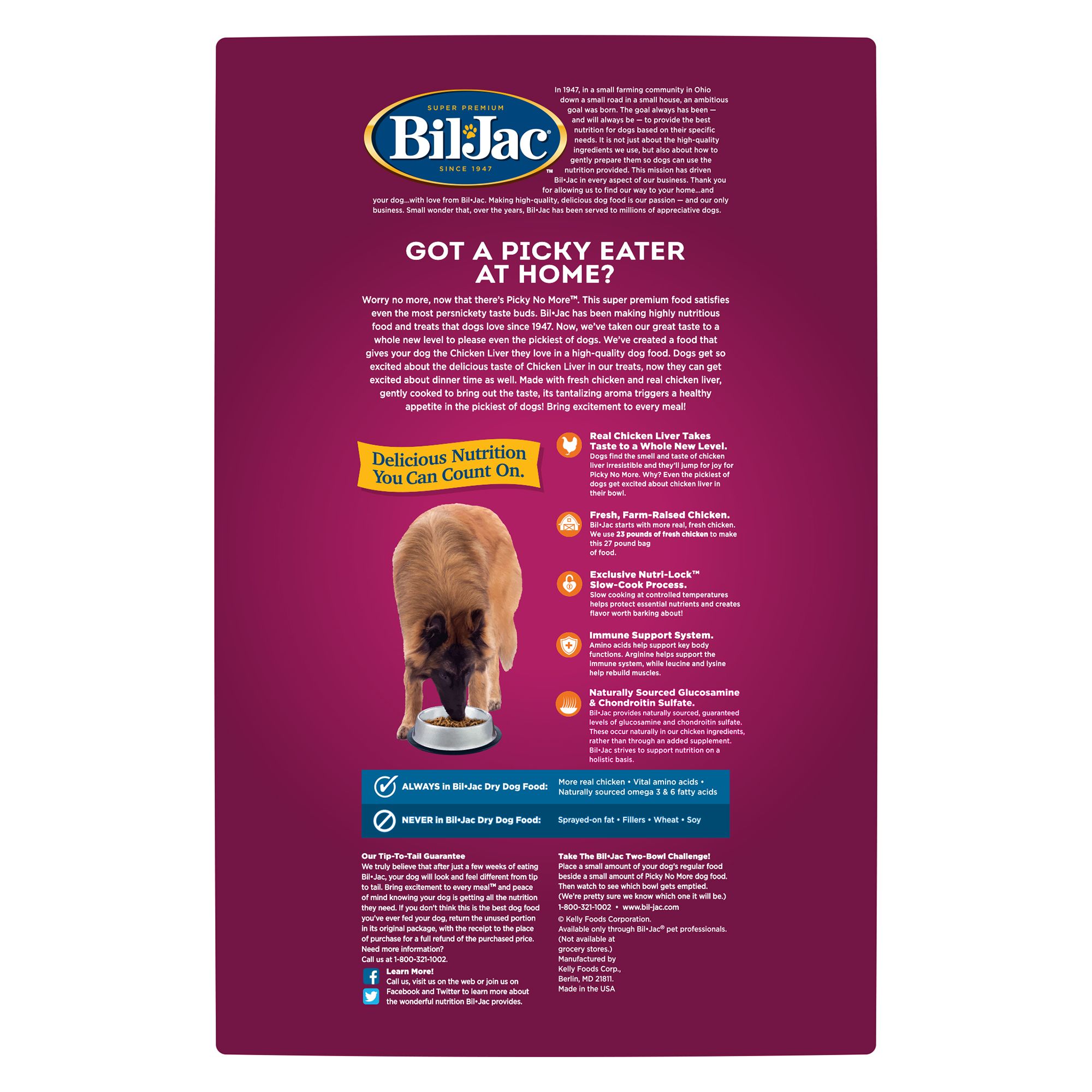 bil jac picky no more dog food reviews