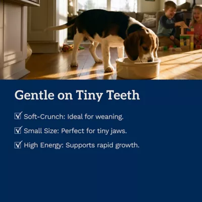 Bil-Jac® Small Breed Senior Dry Dog Food - Chicken - Image 6