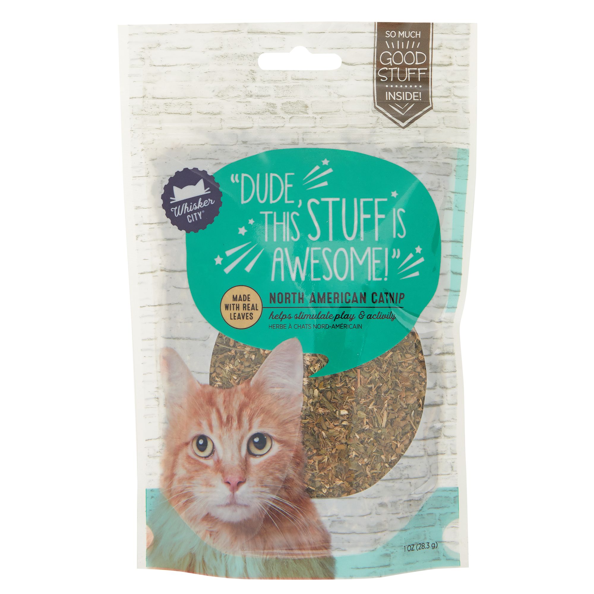 Whisker city hotsell cat grass kit