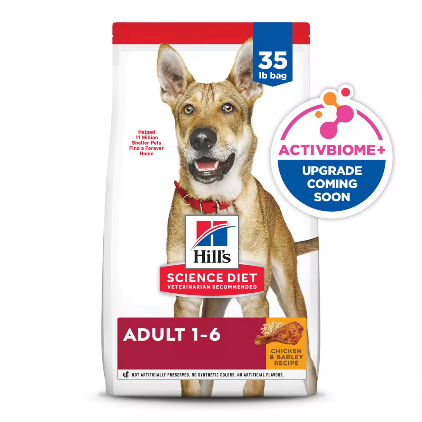 Dry dog retailer food for adults