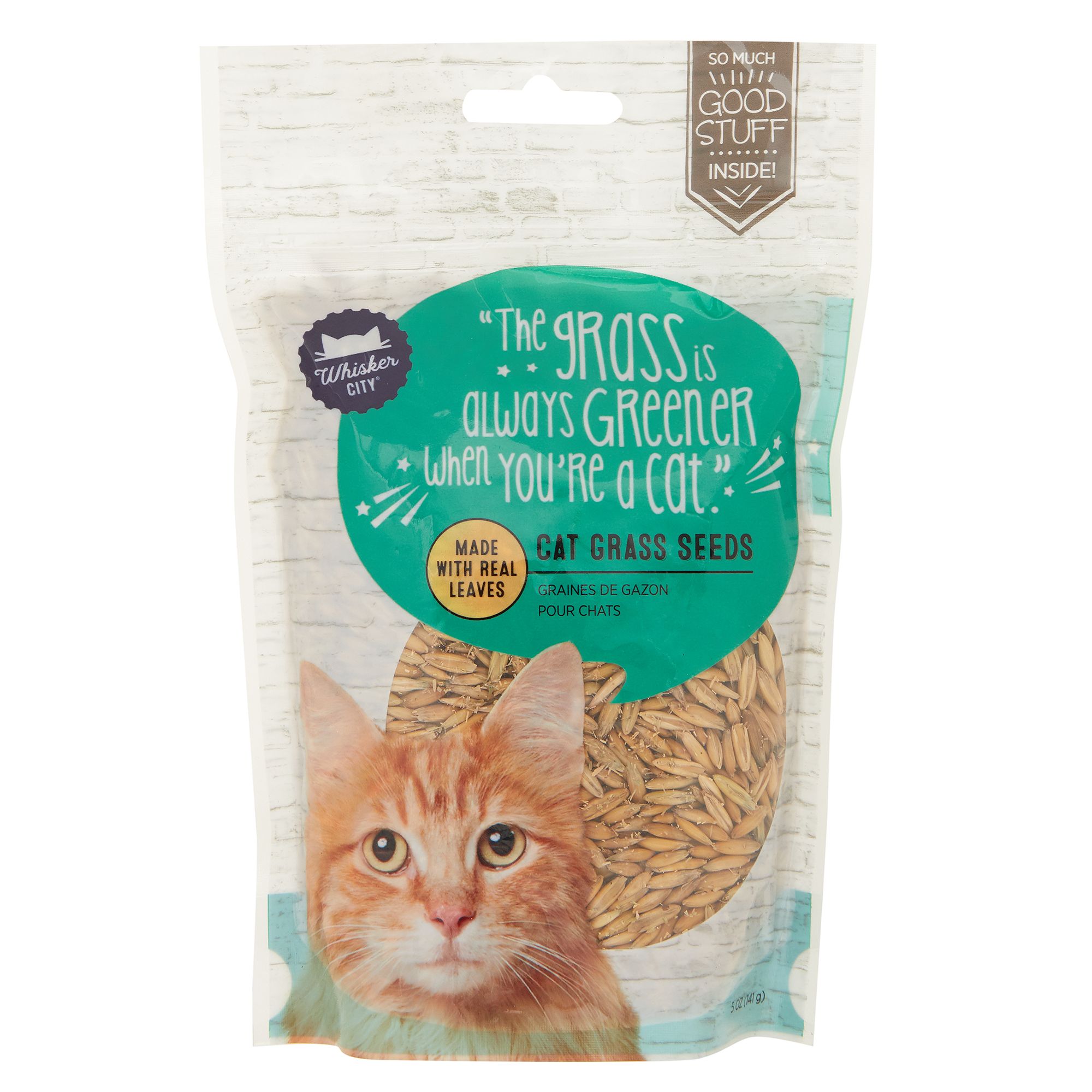 Whisker city 2025 cat grass kit