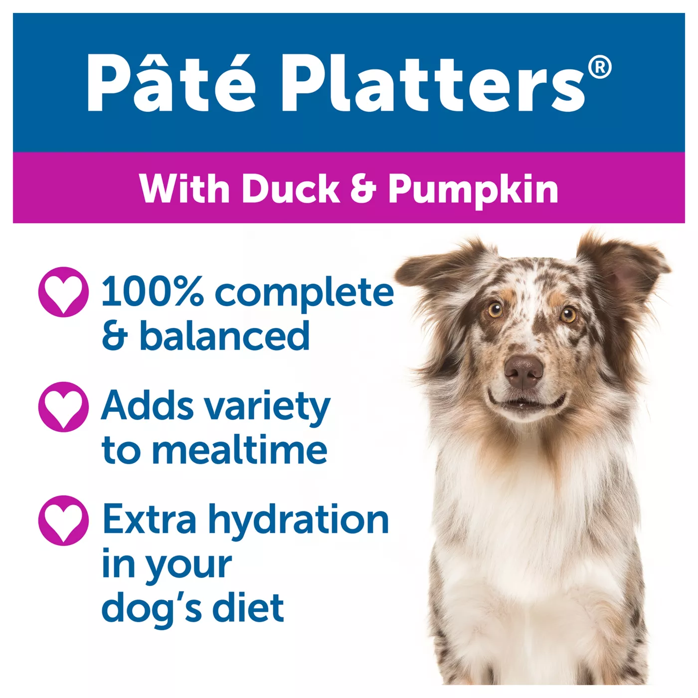 Bil Jac Pate Platters Adult Wet Dog Food Grain Free Gluten Free 13 Oz