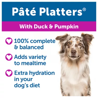 Product Bil-Jac® Pate Platters Adult Wet Dog Food - Grain Free, Duck & Pumpkin, 13 oz