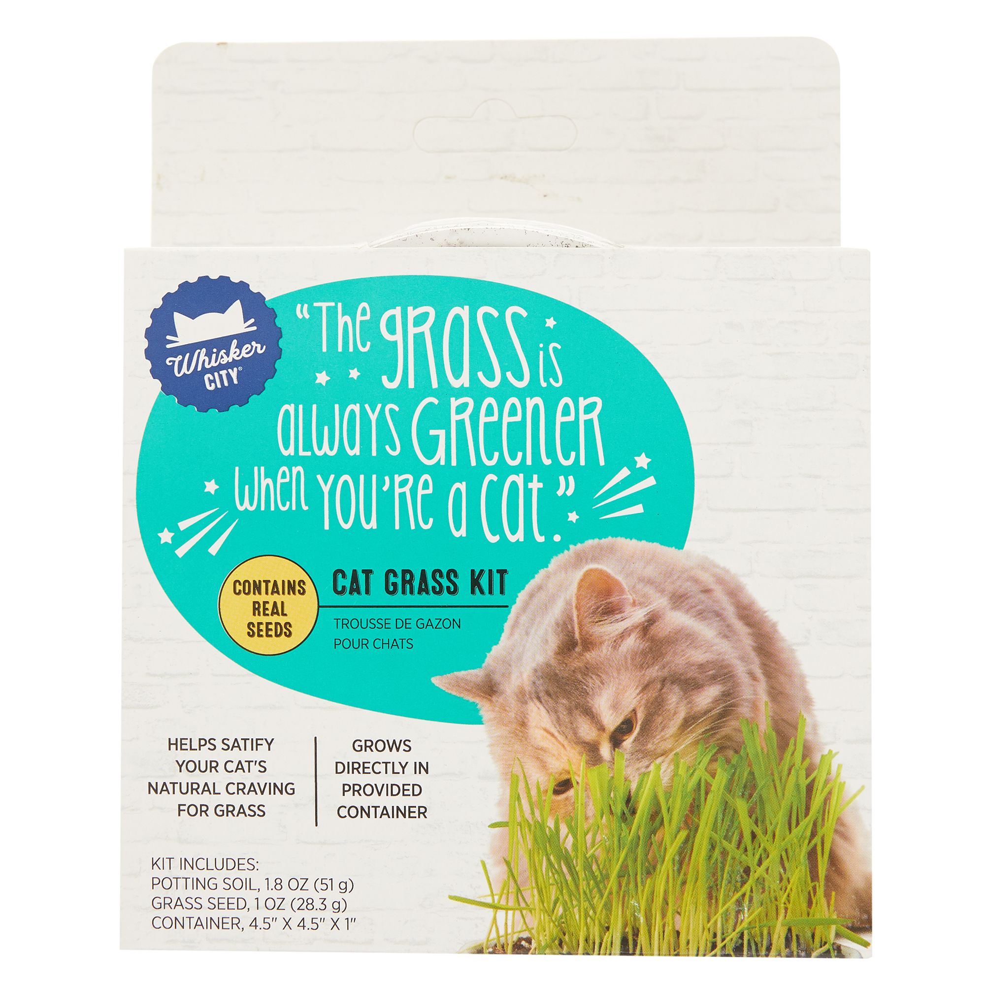 Whisker city store cat grass kit