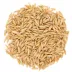 Whisker City® Cat Grass Kit image thumbnail 4