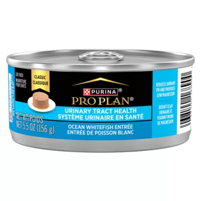 Purina pro plan focus wet cat food hotsell