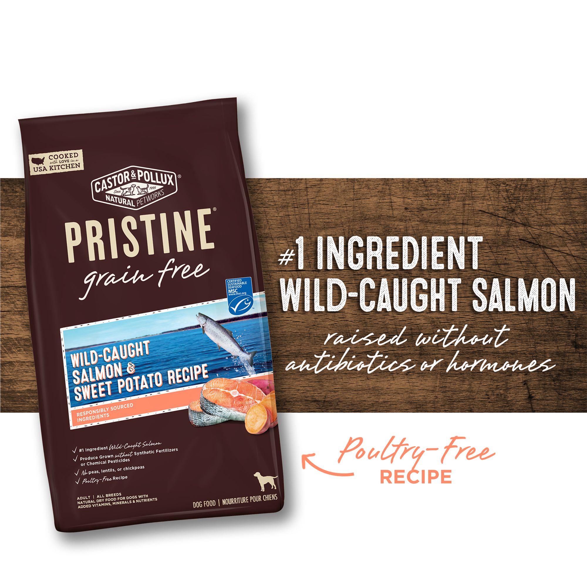 castor and pollux salmon dog food