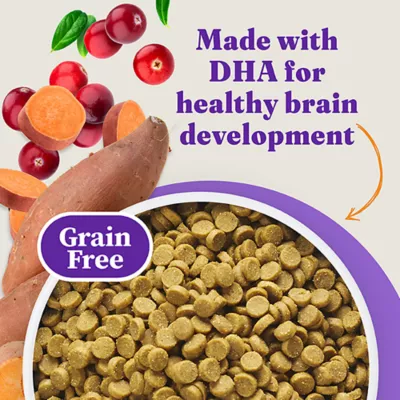 Halo Holistic Grain Free, Kitten Dry Food - Salmon & Whitefish Recipe, 6 lb - Image 8