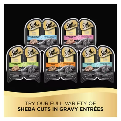 Product Sheba® Perfect Portions Adult Wet Cat Food - Cuts in Gravy, Variety Pack, 48 CT, 63.4 OZ