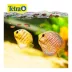 TetraPro™ Tropical Color Crisps Fish Food Flakes image thumbnail 7