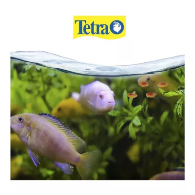 Product TetraPro™ Tropical Crisps Fish Food Flakes