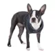 Product Puppia® Soft Adjustable Over-the-Head Mesh Dog Harness