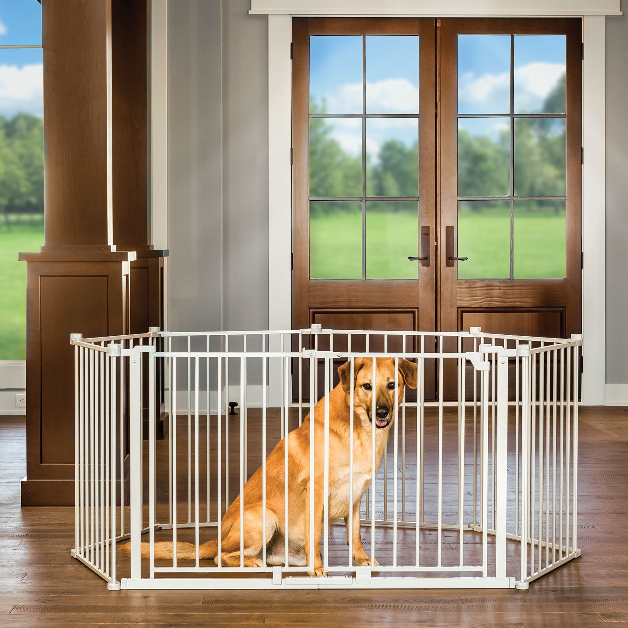 dog gate with door