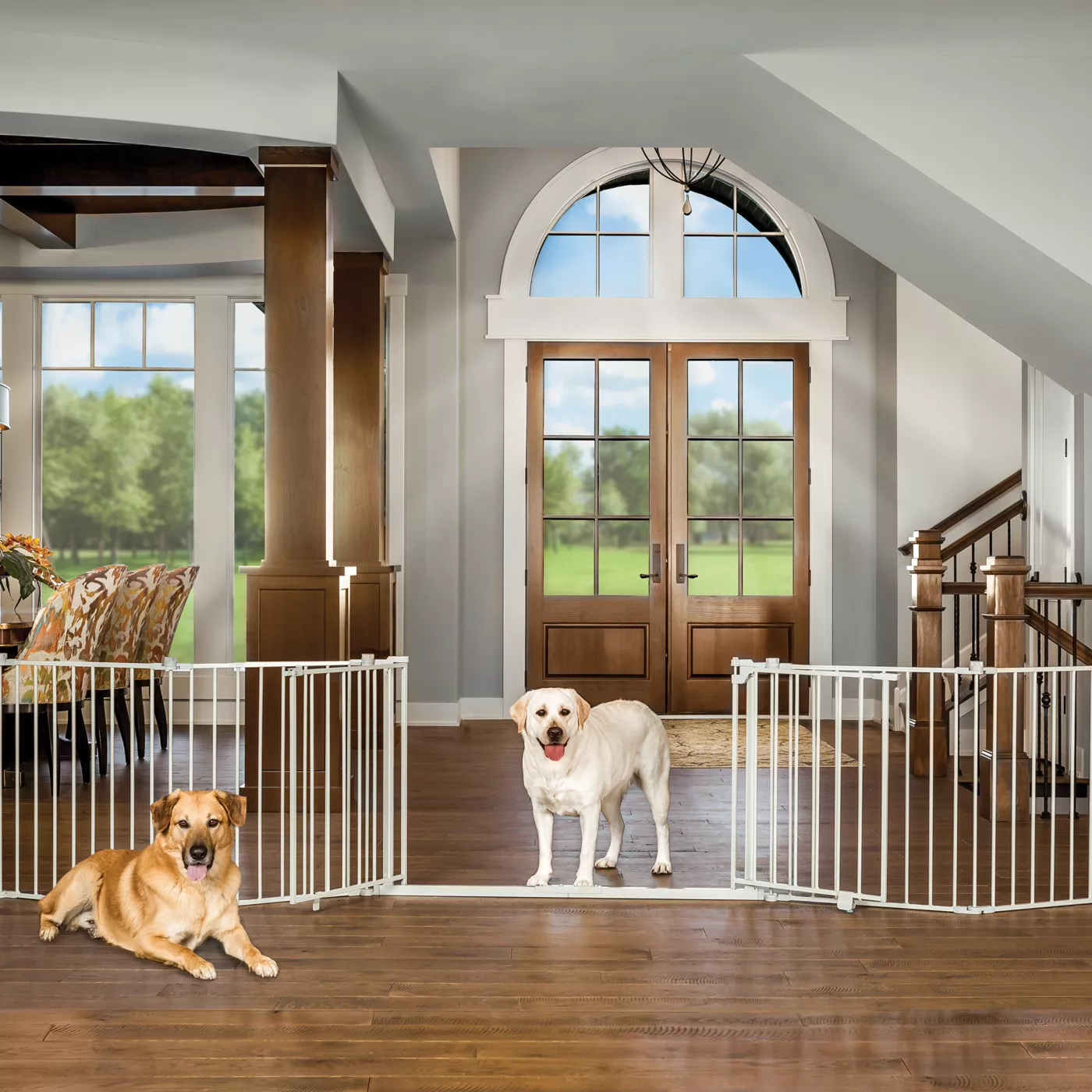 Double door pet gate hotsell