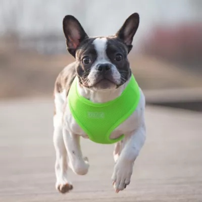 Puppia® Neon Soft Over-the-Head Dog Harness - Image 3