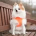 Puppia® Neon Soft Over-the-Head Dog Harness image thumbnail 3