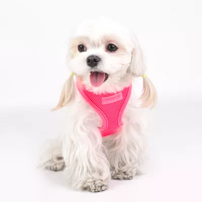 Product Puppia® Neon Soft Over-the-Head Dog Harness