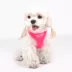 Puppia® Neon Soft Over-the-Head Dog Harness image thumbnail 3