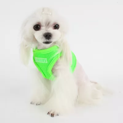 Puppia® Neon Soft Step-In Vest Dog Harness - Image 4