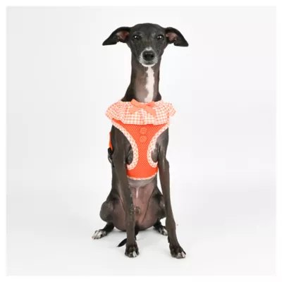 Product Puppia® Vivien Ruffle Dog Harness