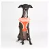 Puppia® Vivien Ruffle Dog Harness image thumbnail 3