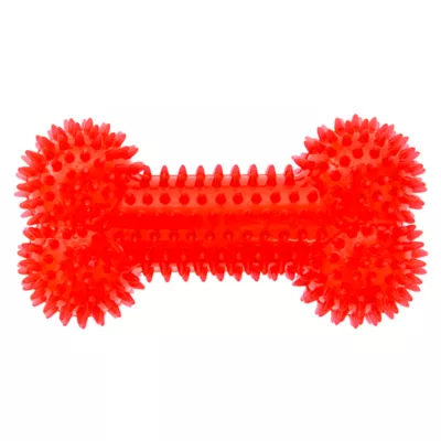 Product Great Choice® Spiky Bone Dog Toy - Squeaker