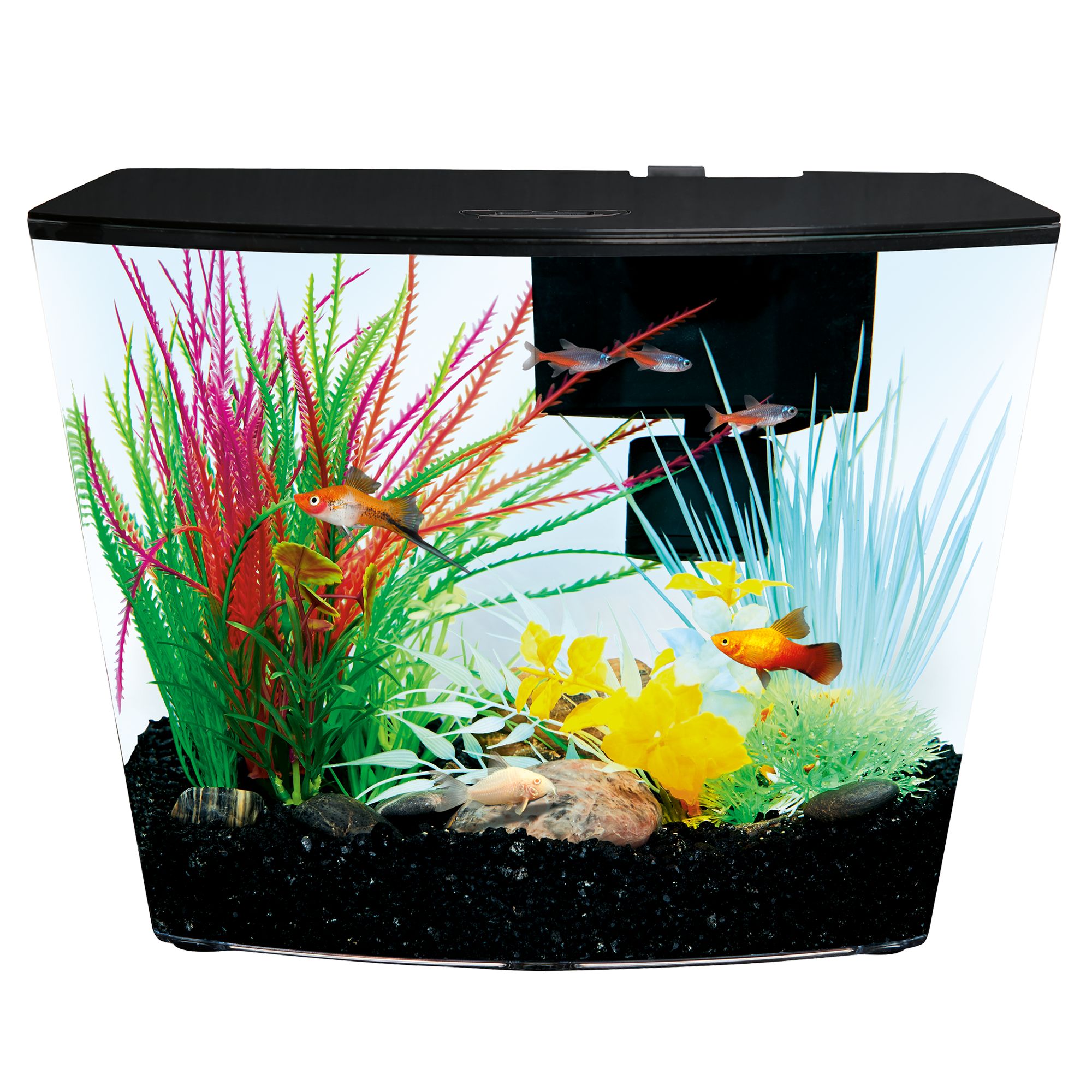 top fin® aquaponics 3.5 gallon desk aquarium fish