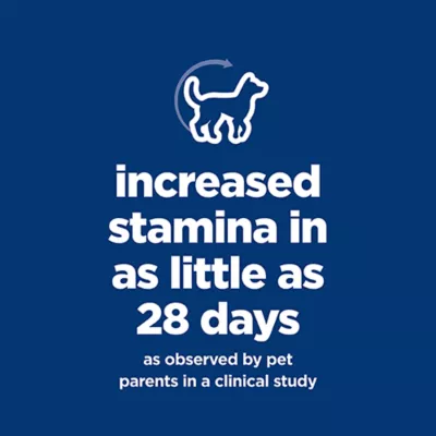 Hill's® Science Diet® Senior Vitality Adult 7+ Dry Dog Food - Chicken & Rice - Image 3