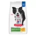 Hill's® Science Diet® Senior Vitality Adult 7+ Dry Dog Food - Chicken & Rice image thumbnail 1