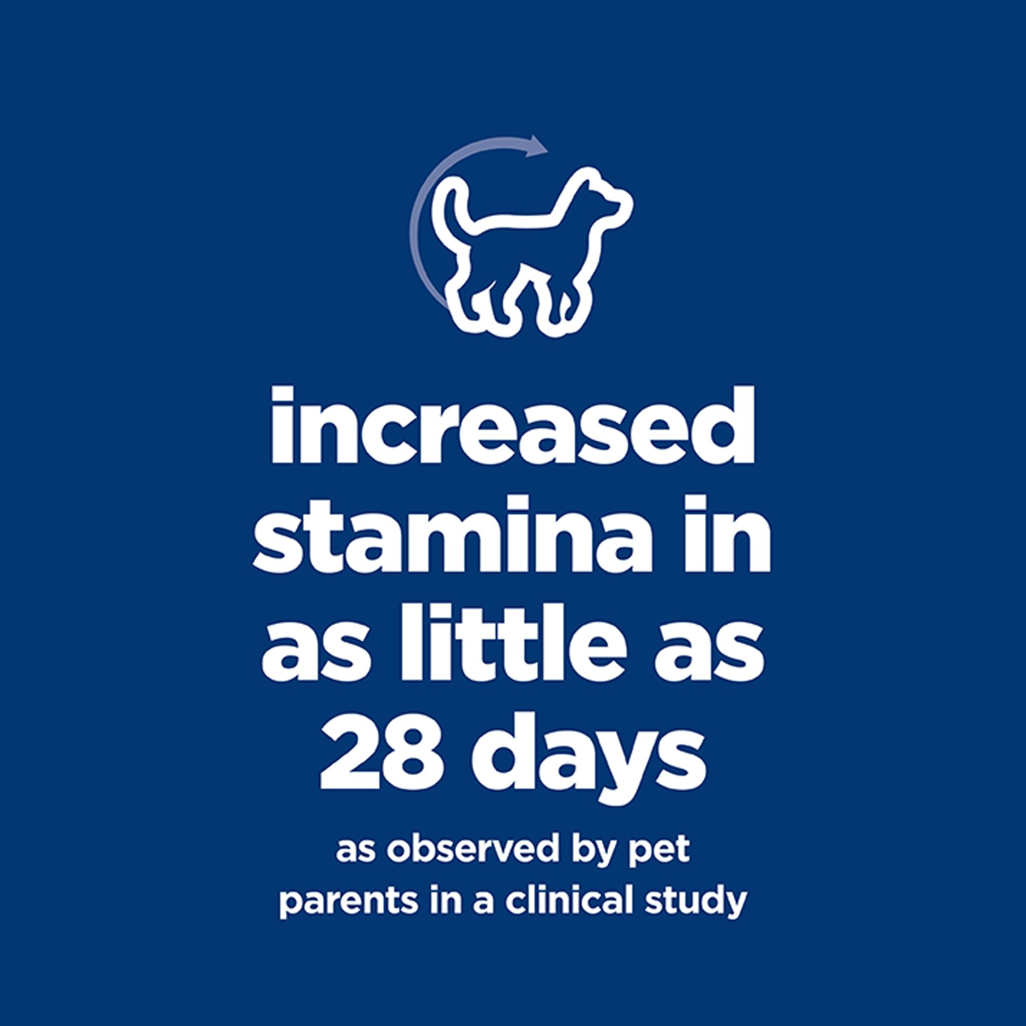 vitality adult dog food