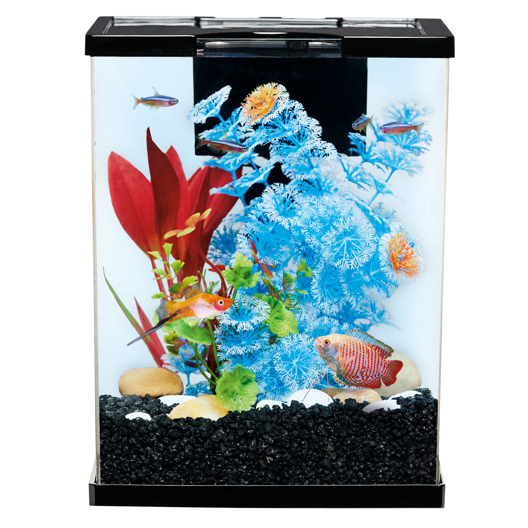 top fin® delight aquarium - 3.5 gallon betta fish