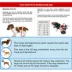 Best Friend Mobility Rear Support Dog Wheelchair image thumbnail 3