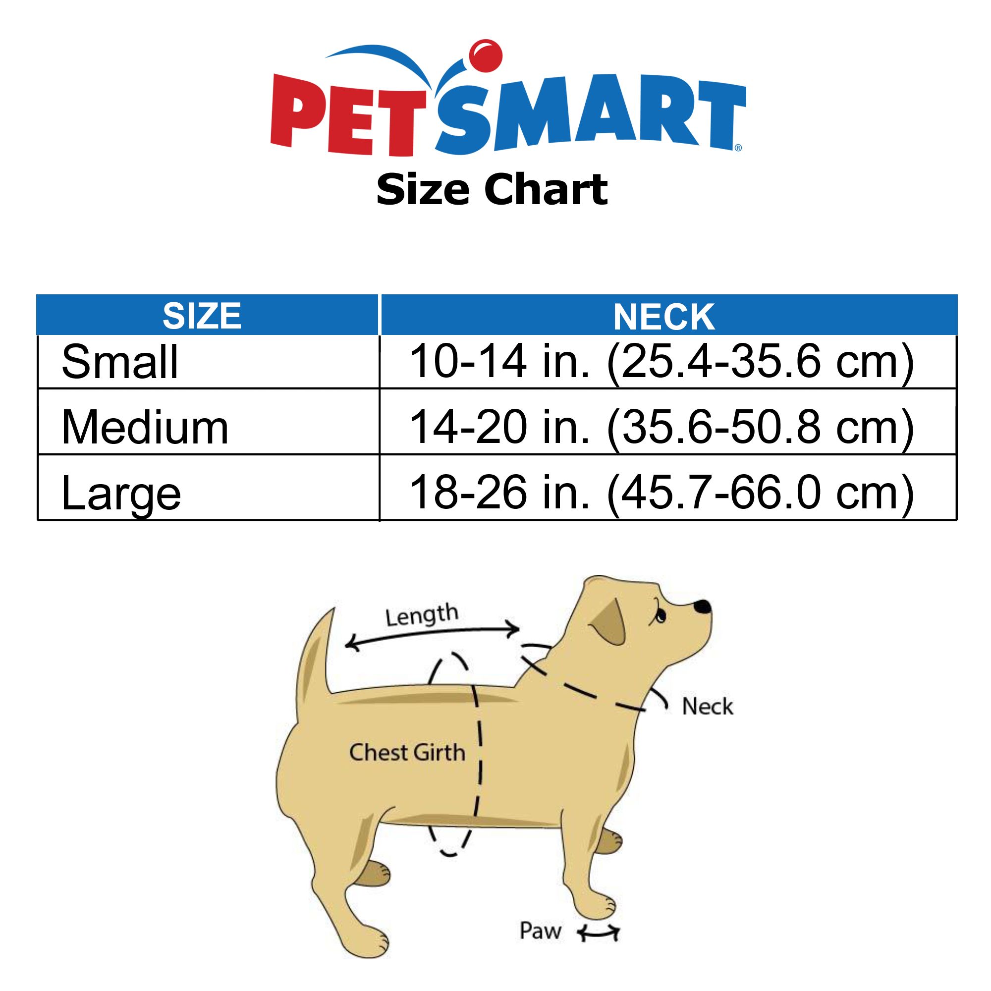 petsmart small dog collars