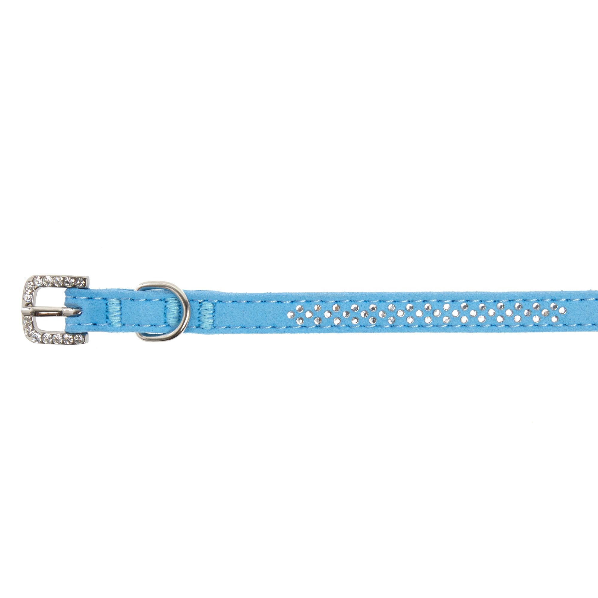 petsmart small dog collars